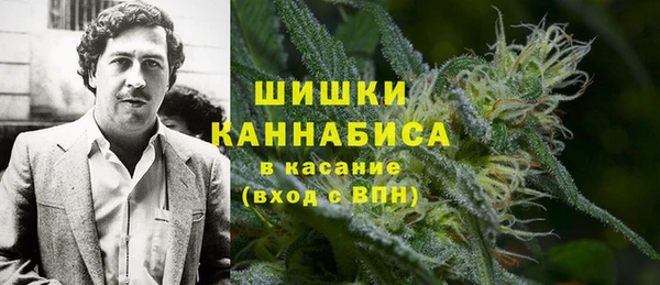 первитин Богданович