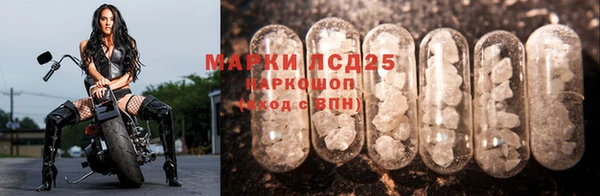 первитин Богданович